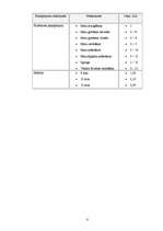 Biznesa plāns 'Biznesa plāns', 8.