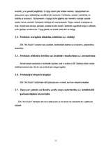 Biznesa plāns 'Biznesa plāns', 11.