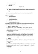 Biznesa plāns 'Biznesa plāns', 13.