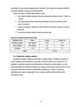 Biznesa plāns 'Biznesa plāns', 17.