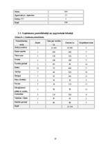 Biznesa plāns 'Biznesa plāns', 19.