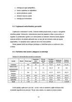 Biznesa plāns 'Biznesa plāns', 22.