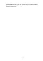 Biznesa plāns 'Biznesa plāns', 23.