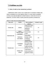 Biznesa plāns 'Biznesa plāns', 24.