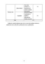 Biznesa plāns 'Biznesa plāns', 25.