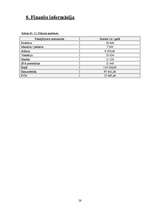 Biznesa plāns 'Biznesa plāns', 26.