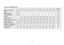 Biznesa plāns 'Biznesa plāns', 32.