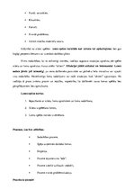 Konspekts 'Lomu spēle - mācību metode', 2.