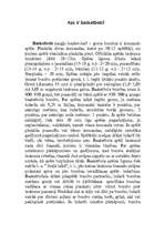 Referāts 'Basketbols', 1.