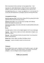 Eseja 'Eiroaustrālijas kultūras reģions', 4.