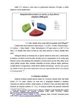 Diplomdarbs 'Adopcija Latvijā un ar to saistītās problēmas', 73.