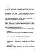 Prakses atskaite 'Preču reklāmas pilnveidošanas iespējas SIA "Visla D" ', 2.