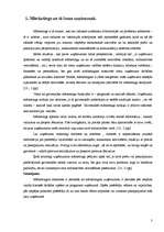 Prakses atskaite 'Preču reklāmas pilnveidošanas iespējas SIA "Visla D" ', 3.