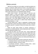 Prakses atskaite 'Preču reklāmas pilnveidošanas iespējas SIA "Visla D" ', 4.