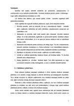 Prakses atskaite 'Preču reklāmas pilnveidošanas iespējas SIA "Visla D" ', 5.