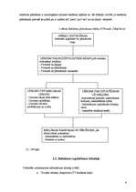 Prakses atskaite 'Preču reklāmas pilnveidošanas iespējas SIA "Visla D" ', 6.