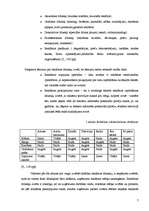 Prakses atskaite 'Preču reklāmas pilnveidošanas iespējas SIA "Visla D" ', 7.