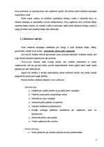 Prakses atskaite 'Preču reklāmas pilnveidošanas iespējas SIA "Visla D" ', 8.