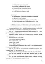 Prakses atskaite 'Preču reklāmas pilnveidošanas iespējas SIA "Visla D" ', 9.