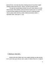 Prakses atskaite 'Preču reklāmas pilnveidošanas iespējas SIA "Visla D" ', 14.