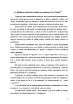 Prakses atskaite 'Preču reklāmas pilnveidošanas iespējas SIA "Visla D" ', 18.