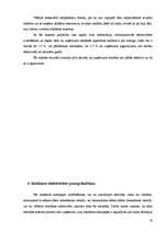 Prakses atskaite 'Preču reklāmas pilnveidošanas iespējas SIA "Visla D" ', 19.