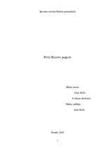 Referāts 'Pirtis', 1.