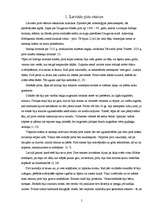 Referāts 'Pirtis', 5.