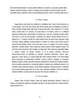 Referāts 'Pirtis', 10.