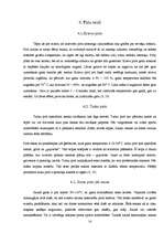 Referāts 'Pirtis', 14.