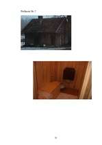 Referāts 'Pirtis', 25.