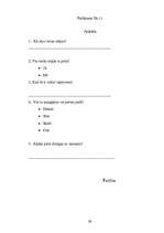 Referāts 'Pirtis', 29.