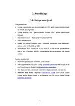 Referāts 'Līzings', 8.