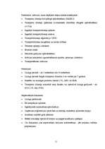 Referāts 'Līzings', 11.