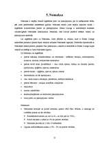 Referāts 'Līzings', 13.