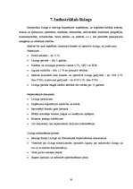 Referāts 'Līzings', 16.