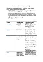 Paraugs 'E-veikalu analīze Latvijā', 1.