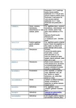 Paraugs 'E-veikalu analīze Latvijā', 3.