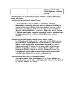 Paraugs 'E-veikalu analīze Latvijā', 4.