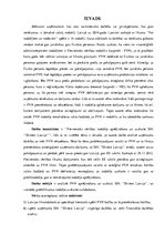 Diplomdarbs 'Pievienotās vērtības nodokļa aprēķināšana un uzskaite SIA "Skinest Latvija"', 6.