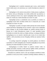 Diplomdarbs 'Pirmstiesas izmeklēšanas īpatnības lietās par nepilngadīgo izdarītajiem noziedzī', 29.