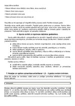 Konspekts 'Pirmsskolas pedagoga gala eksāmens', 10.