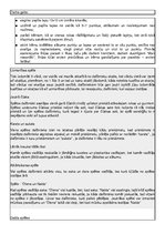 Konspekts 'Pirmsskolas pedagoga gala eksāmens', 12.