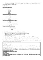 Konspekts 'Pirmsskolas pedagoga gala eksāmens', 20.