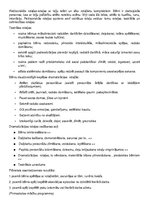 Konspekts 'Pirmsskolas pedagoga gala eksāmens', 25.