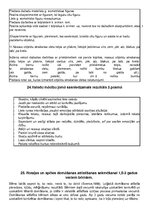 Konspekts 'Pirmsskolas pedagoga gala eksāmens', 31.