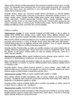 Konspekts 'Pirmsskolas pedagoga gala eksāmens', 37.