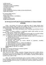 Konspekts 'Pirmsskolas pedagoga gala eksāmens', 46.