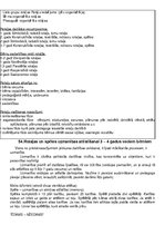 Konspekts 'Pirmsskolas pedagoga gala eksāmens', 65.