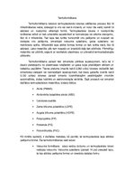 Konspekts 'Termoformēšana', 1.